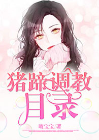 猪脚调料